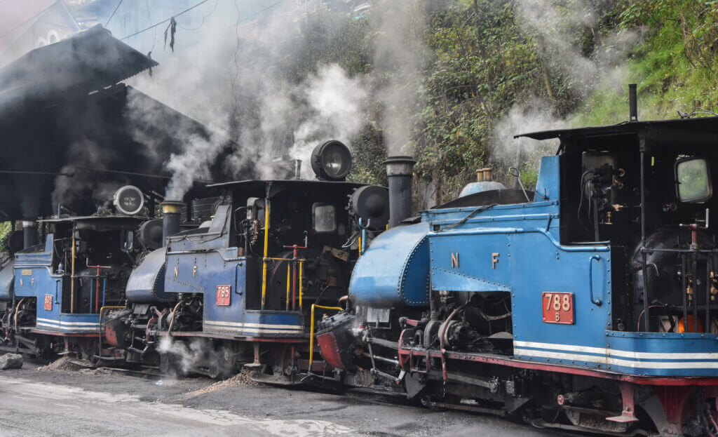 Image of Darjeeling Himalayan Railway: Toy Train Adventure