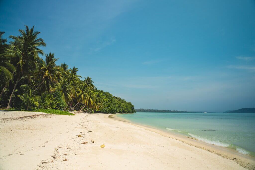 stunning image of beautiful beach in Havelock Island, Andaman & Nicobar Island