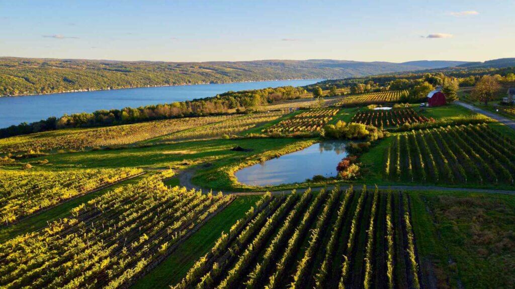 Wineries in Finger lakes region