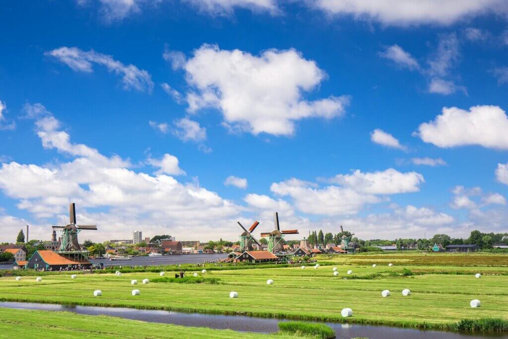 Green Grass Field in Amsterdam, Netherlands